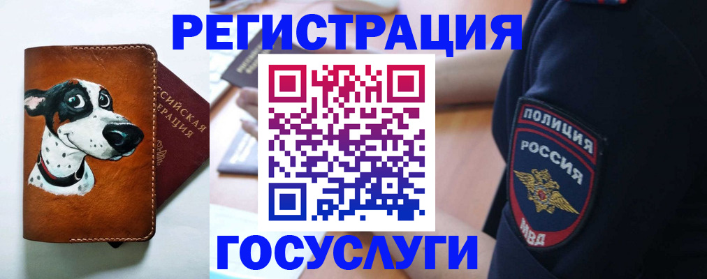 временная регистрация в квартире в Магаданской области